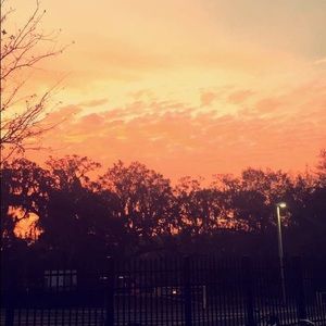 Meet your Posher, Deanna